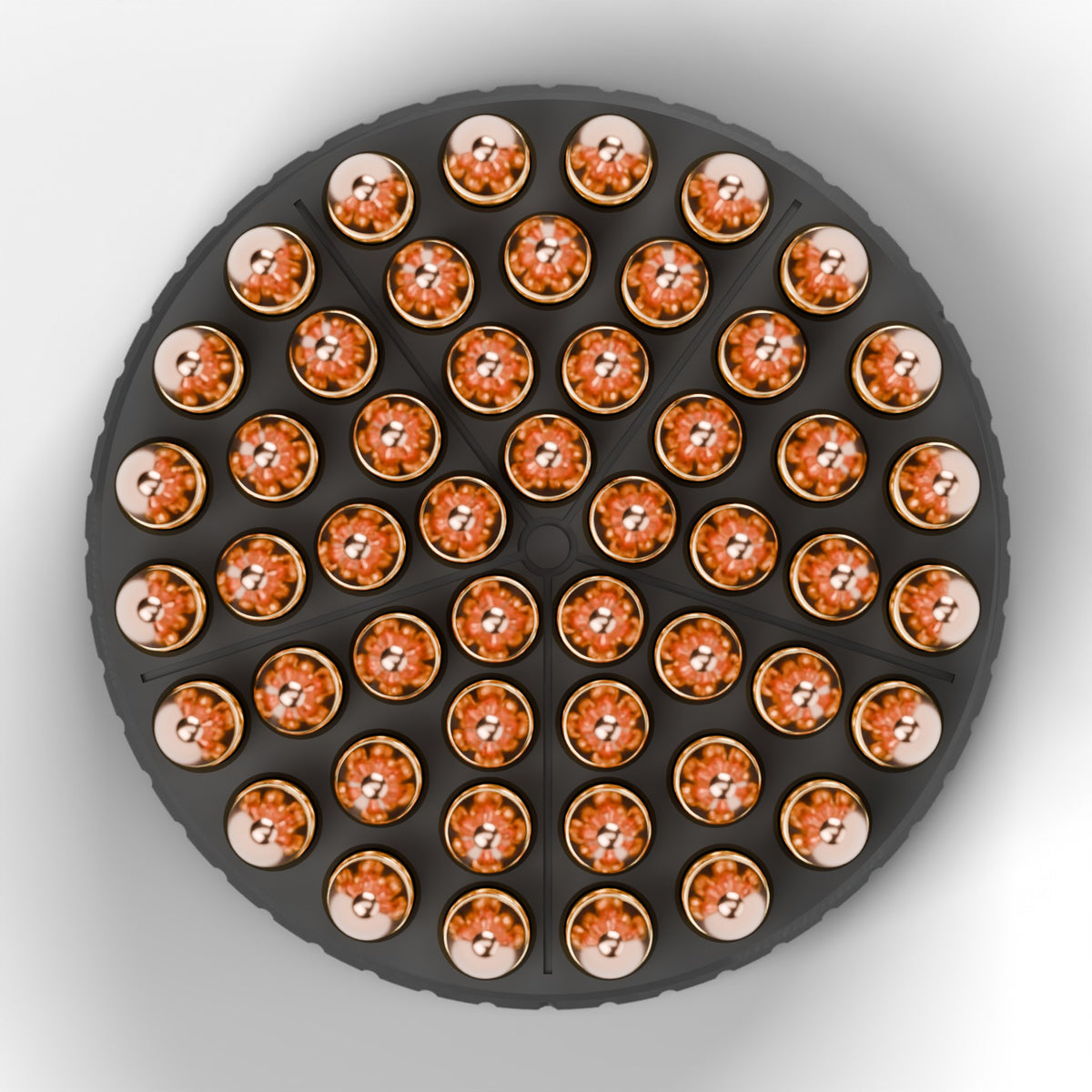 Top-down view of the open F&F 9mm puck holding 50 rounds in five wedges of ten